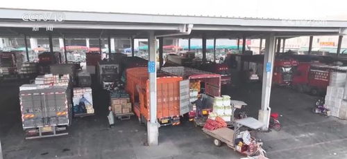 年货市场消费旺 菜篮子 供得上 确保群众欢乐祥和过节