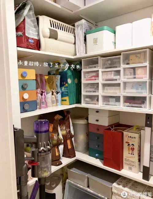 没有父母参与的装修,到底有多爽