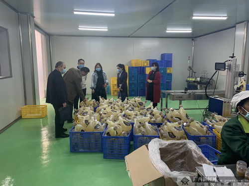 建行河池分行 精准施策支持抗击疫情与复工复产 两不误——以服装行业为例