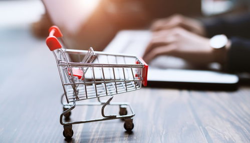 可持续盈利性二手商品销售的经营者责任